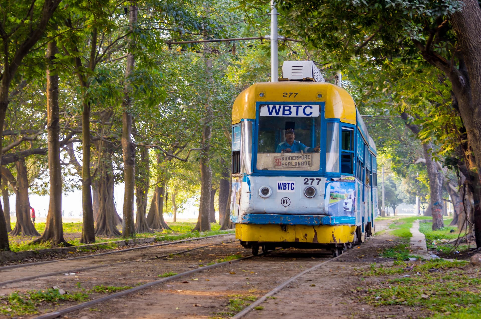 <p><em>A green ride in every sense. (Shutterstock)</em></p>