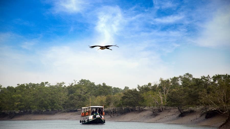 <p dir="ltr"><em>A ferry ride through mangrove creeks at Jharkhali.</em>&nbsp;<em>(Picture by the West Bengal Government)</em><br><br>&nbsp;</p>