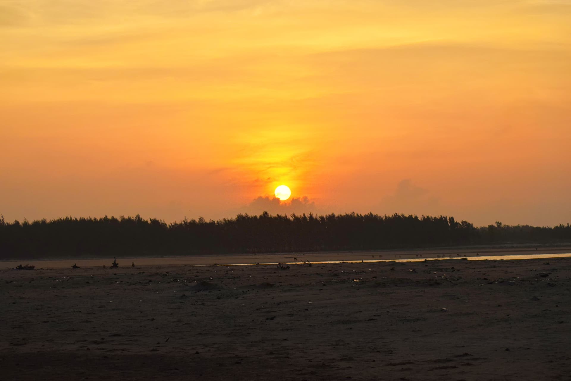 <p><em>Sunrise at Tajpur Beach. (Shutterstock)</em></p>