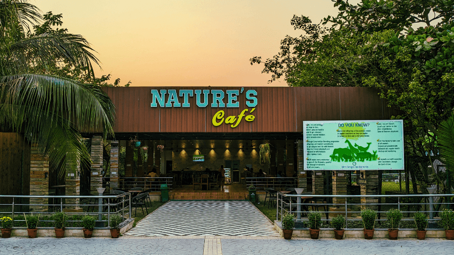 <p>Visitors can unwind at the Nature’s Cafe, which flaunts a rustic wooden-plank interior that blends with the zoo’s nature theme.</p>