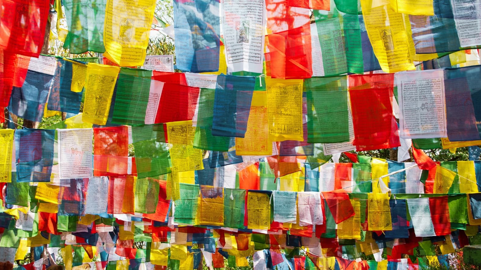 <p>Prayer flags at Tibetan New Year celebrations.</p>