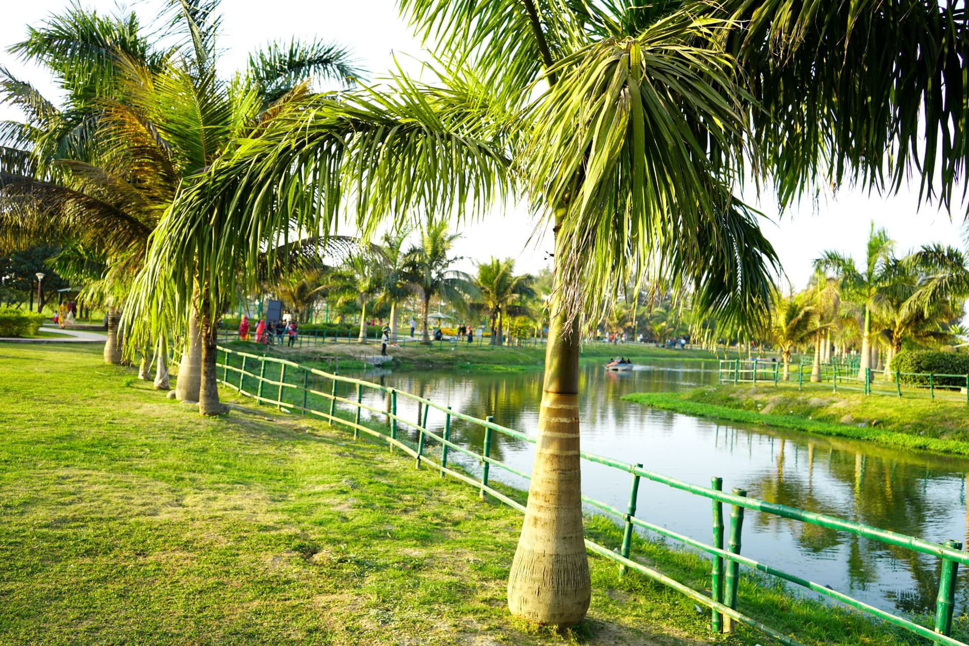 <p>Eco Park’s open lawns and activity zones offer children ample space to explore, play, and engage with nature.</p>
