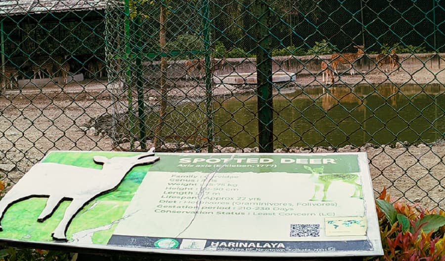 <p dir="ltr">Harinalaya, translating to ‘Abode of Deer’, highlights the zoo’s beginnings as a deer park.</p>