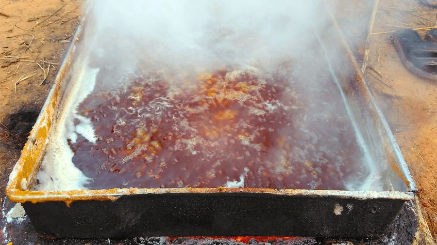 <p>The sap starts to boil.</p>