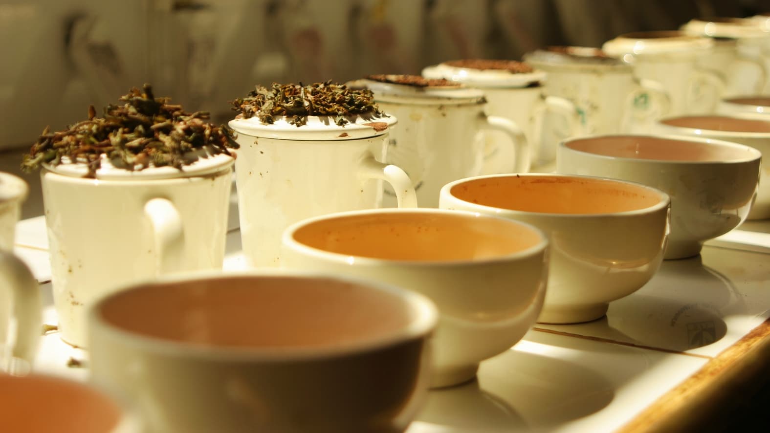 <p>A cupping session at a Darjeeling estate. (Shutterstock)</p>