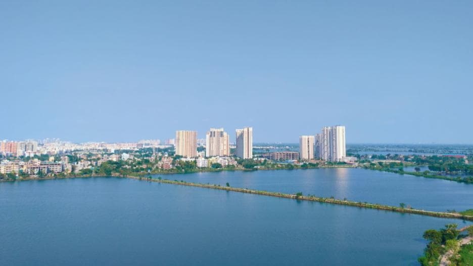 The East Kolkata Wetlands, recognised as a Ramsar site, are spread across 12,500 hectares. (Shutterstock)